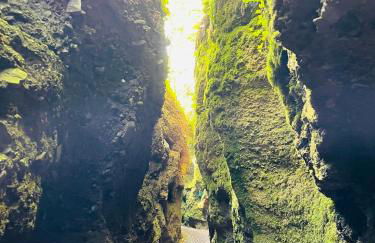 Ferienwohnung Eisenach - Kamin & Garten - Hunde willkommen - Foto 27