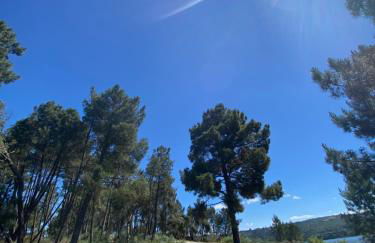 Cantinho Doce - Foto 17