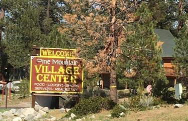 Pine Mountain Club Family Vacation House - Foto 29