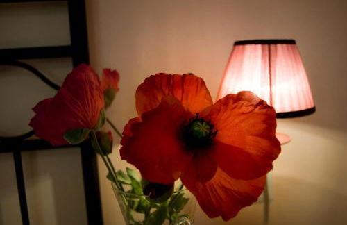 Agriturismo Il Falco - Foto 31