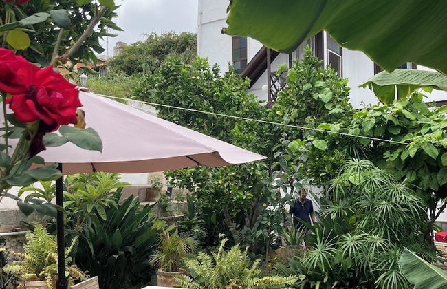 Gato Azul Coliving - Foto 56