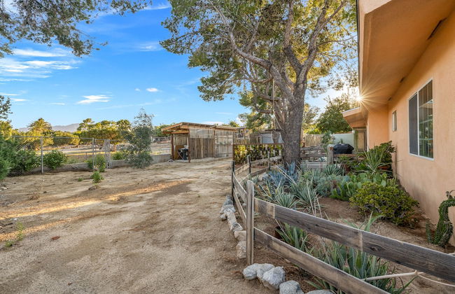 The Juniper - Foto 48