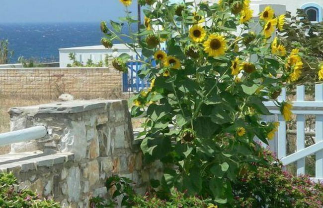 Liana Marouli - Foto 45