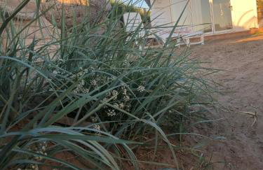 Ocean Drive Deluxe Apartment with complimentary Day Time Beach hut - Foto 9