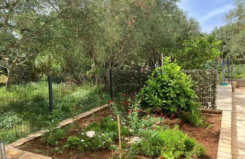 Sweet studio - Foto 6