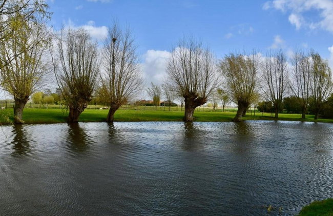 Apartment in Nieuwpoort Near Sandy Beaches - Photo 39