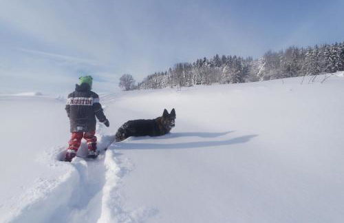 Alb Chalet - Foto 18