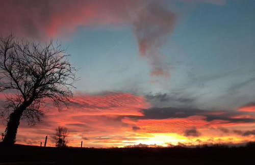 Shave Farm - Foto 25