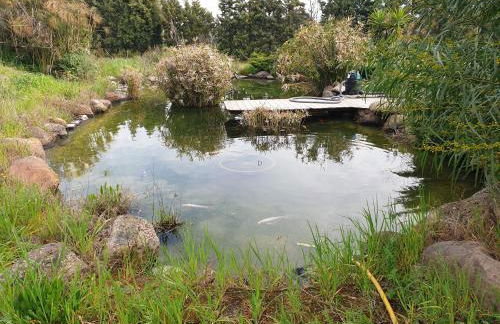 Casa di Roby 4L - Foto 8