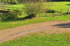 Hale Oaks Farm - Foto 7