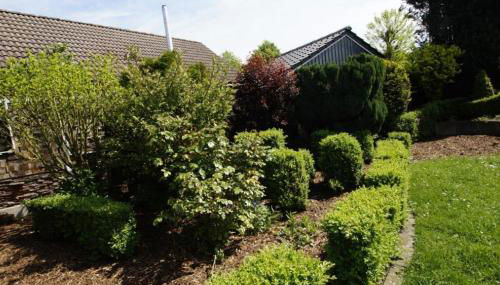 Dümmerglück gemütliches und im skandinavischen Still - Foto 4