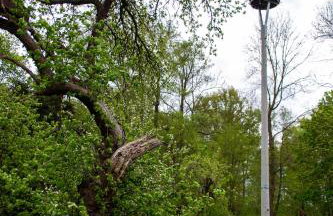 StorchenHof - Foto 45