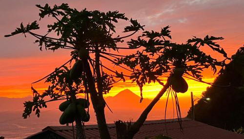 Vistalinda Farmhouse - Photo 5, Garden