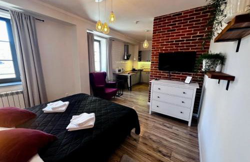 Apartamenty Łowicz - Foto 1