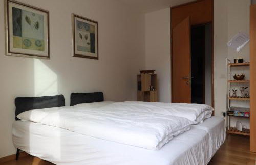 Luxus Penthouse mit Terrasse, Garage, Fahrradraum und Infrarotsauna - Foto 17