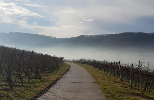 Studio 22, Terrasse,Pool,Sauna,Ofen - Foto 27