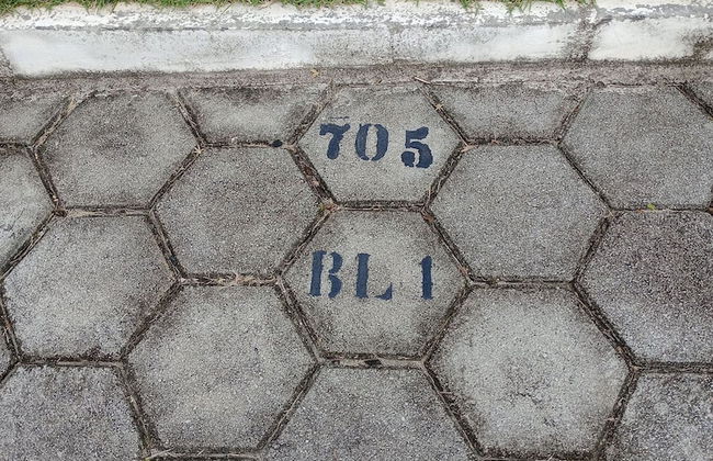 Apartamento Refugio das Ondas - Piscina - Foto 32