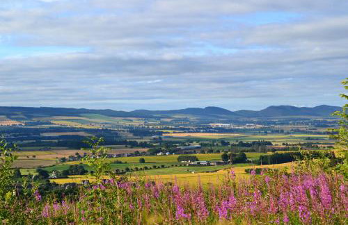 St Louan's - Foto 19