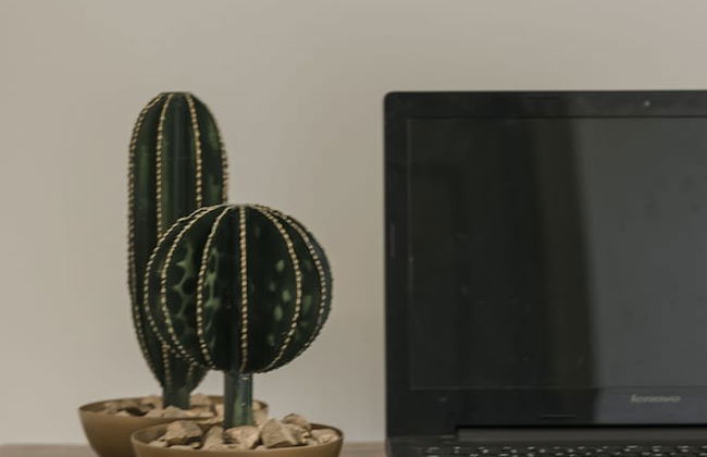 Anthemis Living - Foto 8