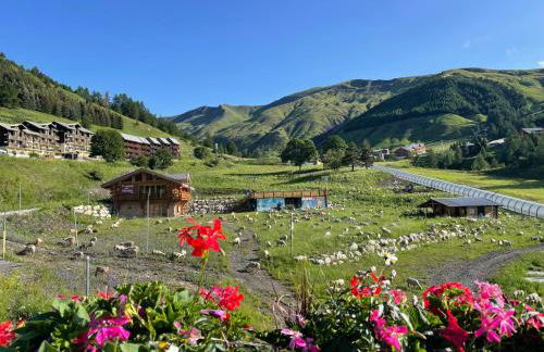 Les marmottes - Foto 22