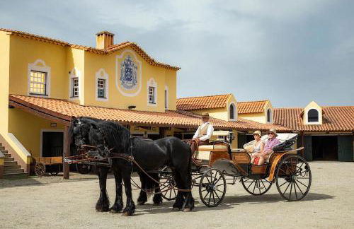 Casa Sobreira da Silva - Alojamento Local - Foto 20