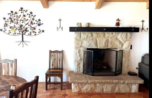 Hilltop Vineyard and Agave Field with View - Photo 14