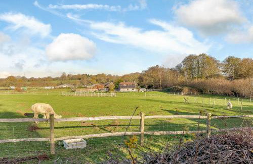 Blossom's Cottage - Photo 15