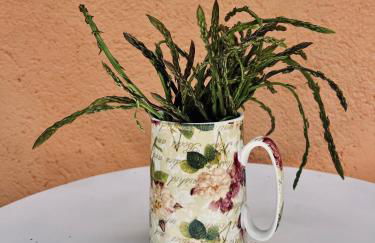 La Casetta - Photo 12