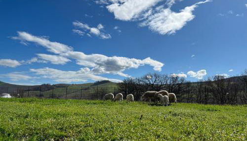 Agriturismo Ca' Belluccio - Foto 5