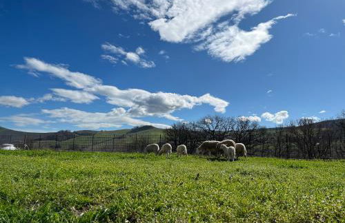 Agriturismo Ca' Belluccio - Foto 5