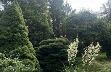 Stylowy duży dom blisko Rzeszowa i Łańcuta - Foto 34