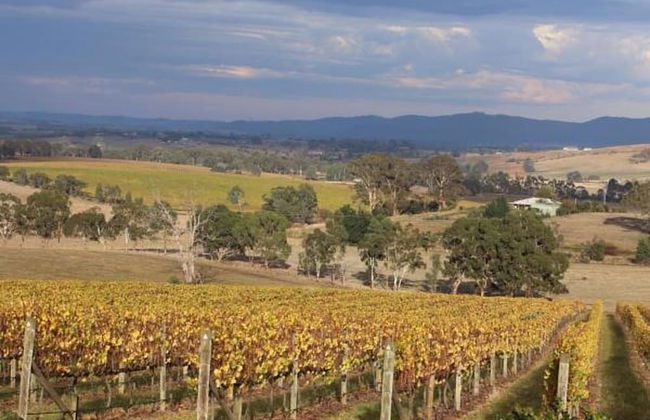 Outlook Hill Vineyard Cottages - Foto 41