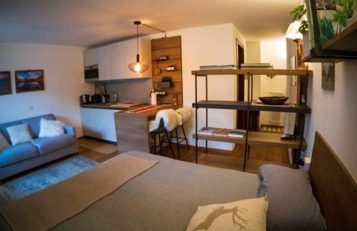 Monolocale in centro a Madesimo - Foto 21