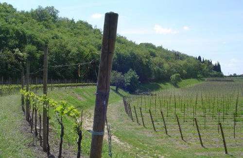 Agriturismo Sambuco - Photo 49