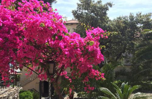 Villa Son Armadans - Photo 20