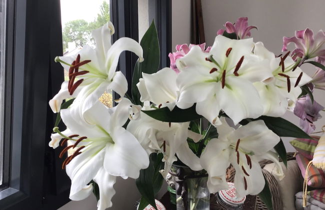 La Guinière Chambres D'hôtes - Foto 15