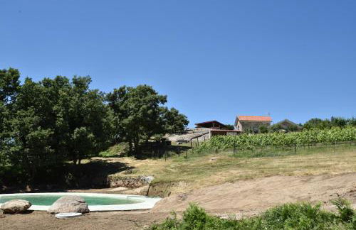 Quinta de S. Cipriano - Foto 15