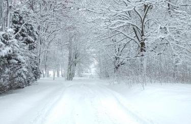 Stajnia Lisewo - Foto 15