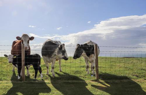 Corsewall Castle Farm Lodges - Foto 50