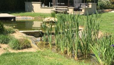 L'ancien poulailler- The Old Hen House - Photo 5, Garden