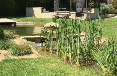 L'ancien poulailler- The Old Hen House - Foto 5