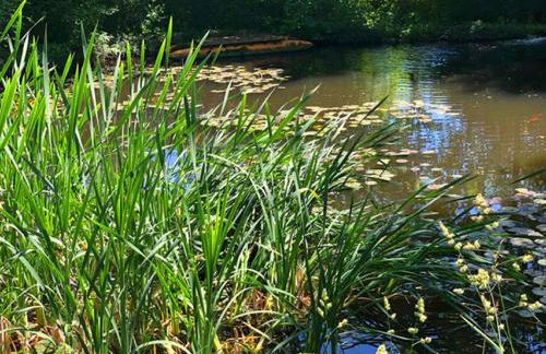 Landhaus Finest - Foto 35