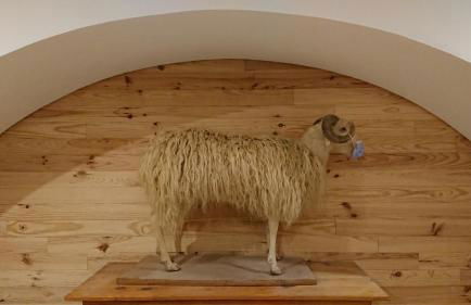 Superbe logement 12 pers famille ou groupe. - Foto 21