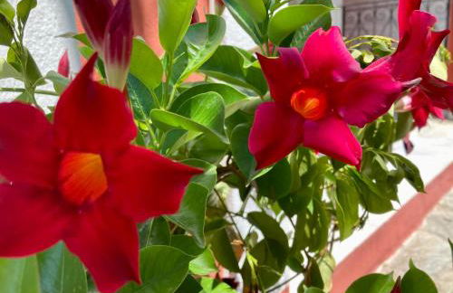 Dielino Amazing Sunset View - Foto 8