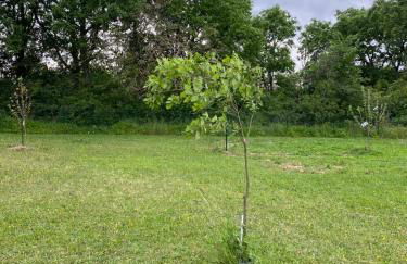 Maison Pro Le Blanc - 3 chambres - Foto 35