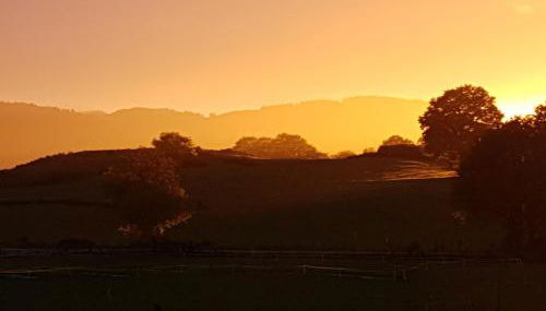 Ferme de la Luciole - Foto 5