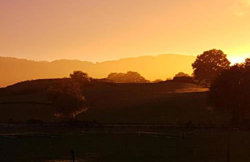 Ferme de la Luciole - Photo 5