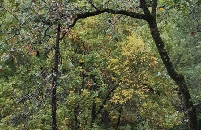 Belvilla by OYO Single Chalet en La Adrada - Foto 61