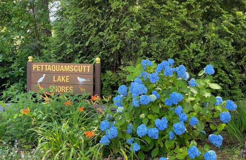 The Beach Gallery - Foto 9