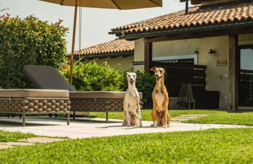 Privilegium Lazise - Photo 32